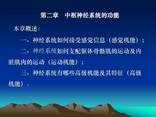 神经系统