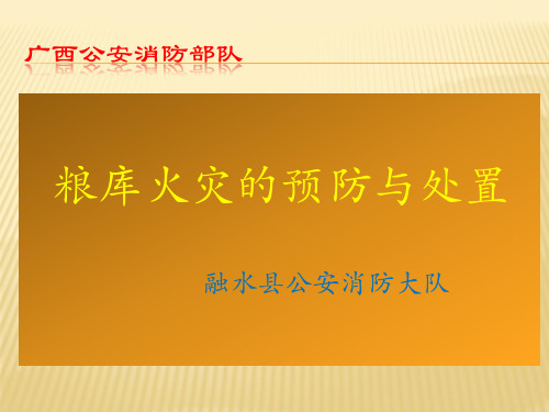 粮库火灾课件