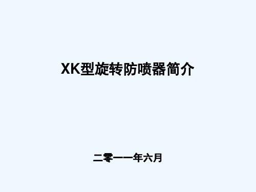 旋转防喷器 PPT