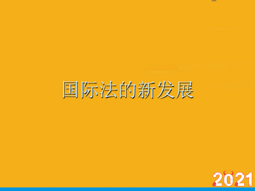 国际法的新发展(优文档)ppt