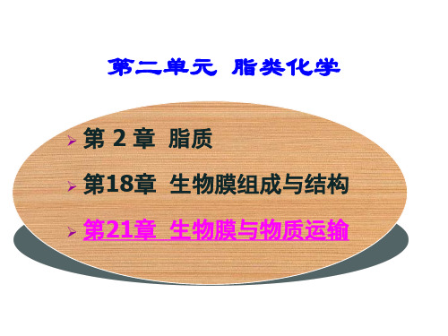《生物化学》21 生物膜与物质运输