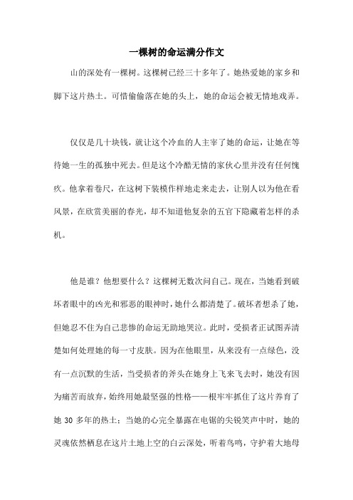 一棵树的命运满分作文