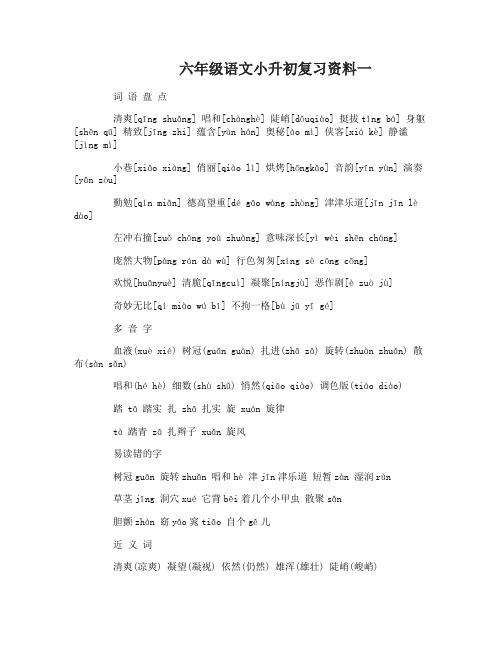 苏教版六年级语文小升初复习资料