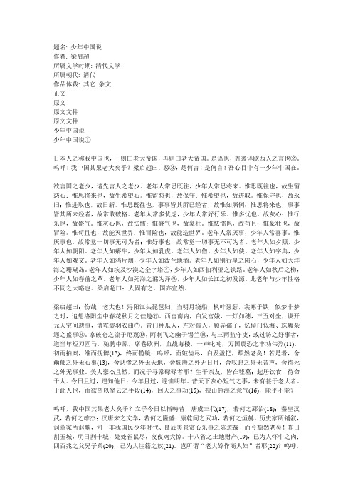 中国少年说