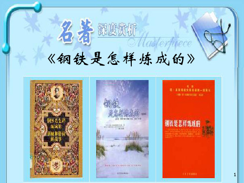 《钢铁是怎样炼成的》名著导读PPT教学课件