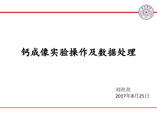 钙成像实验操作及数据处理