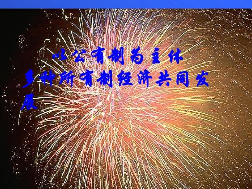 以公有制为主体、多种所有制经济共同发展