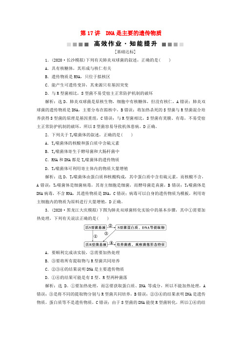 (选考)新高考生物第六单元遗传的物质基础第17讲DNA是主要的遗传物质高效作业知能提升新人教版