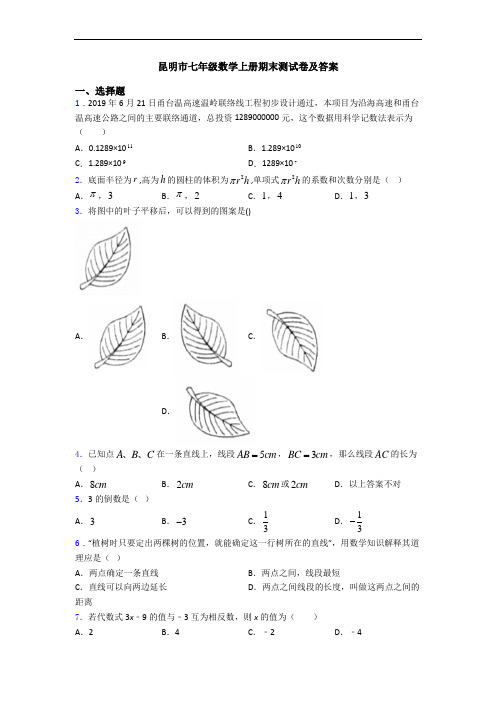 昆明市七年级数学上册期末测试卷及答案