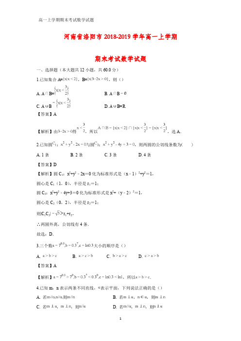 2018-2019学年河南省洛阳市高一上学期期末考试化学试题(答案+解析)