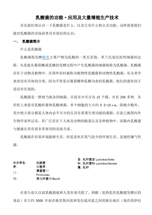 乳酸菌介绍