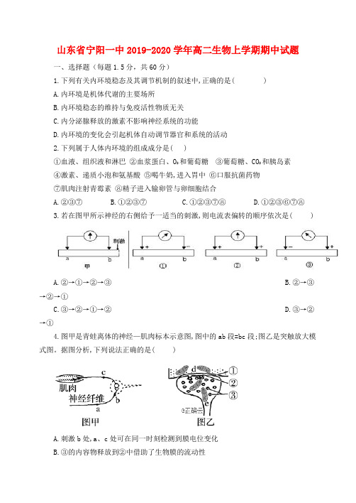 山东省宁阳一中2019_2020学年高二生物上学期期中试题