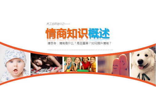 情商概述