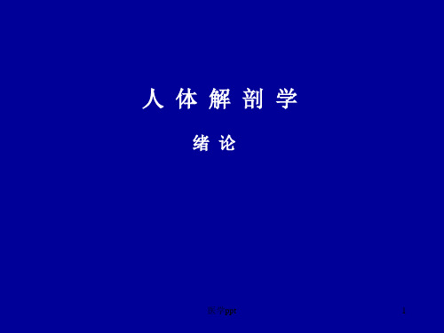 绪论、躯干骨、上肢骨及连结
