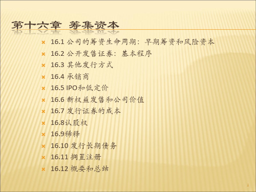 公司理财第16章ppt课件
