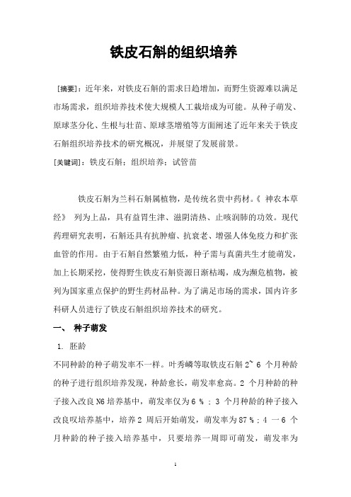 铁皮石斛的组织培养
