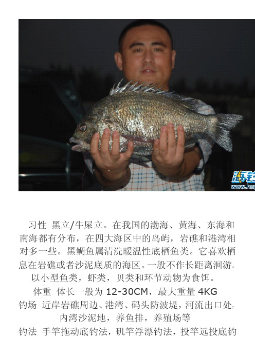 海钓常见鱼类图解