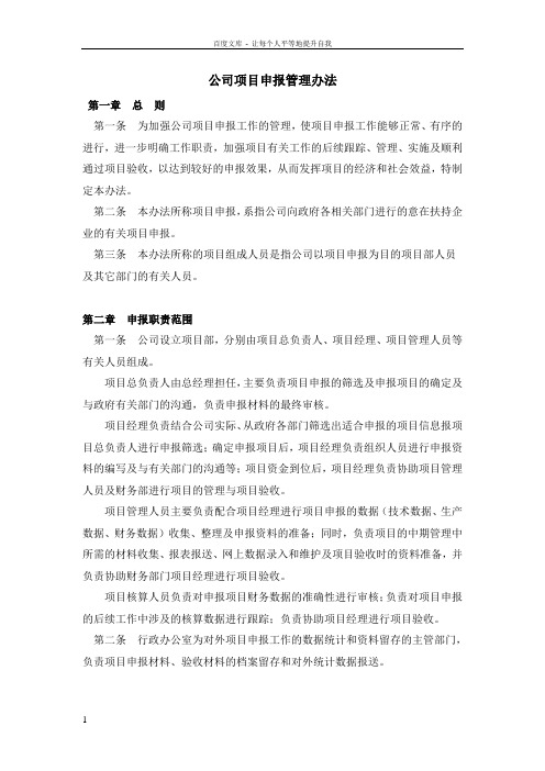 公司项目申报管理办法