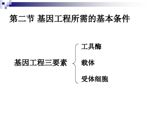 2.2 基因工程所需的基本条件