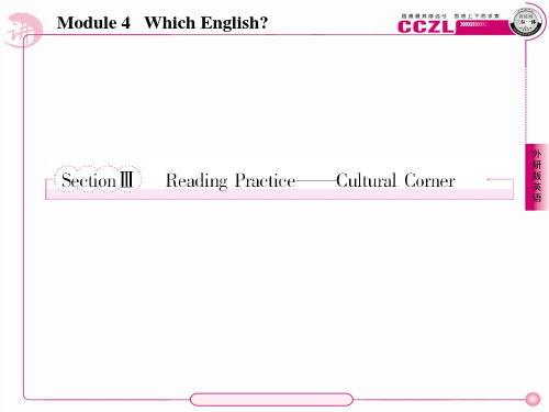 高二英语选修8(外研版)课件：4-3Reading Practice——Cultural Corner