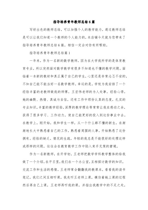 指导培养青年教师总结6篇