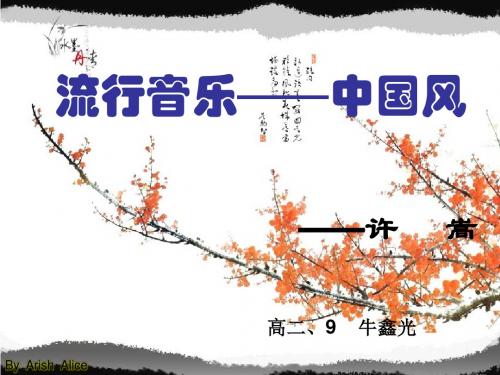 许嵩中国风