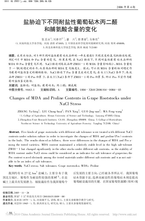 盐胁迫下不同耐盐性葡萄砧木丙二醛和脯氨酸含量的变化