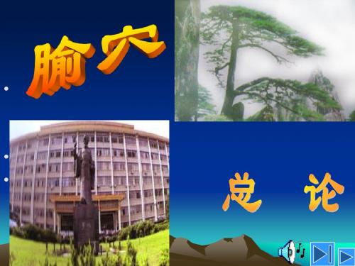 腧穴总论(梁繁荣)