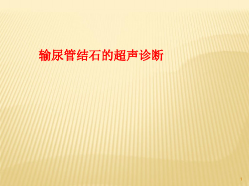 输尿管结石的超声诊断ppt课件