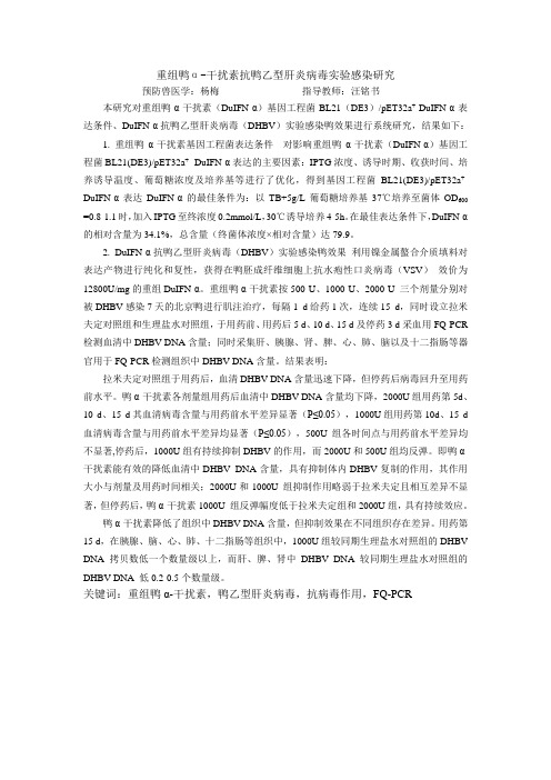 重组鸭-干扰素抗鸭乙型肝炎病毒实验感染研究解析