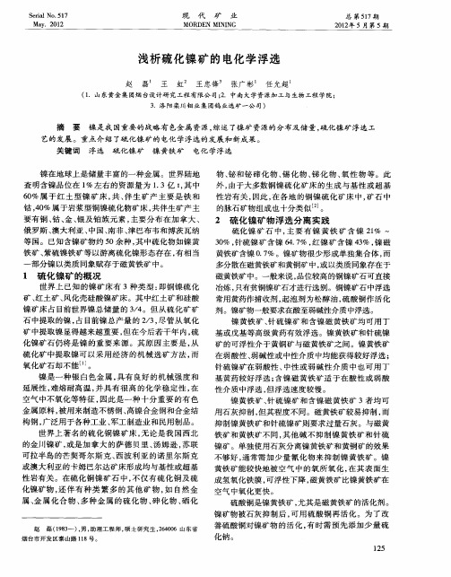 浅析硫化镍矿的电化学浮选