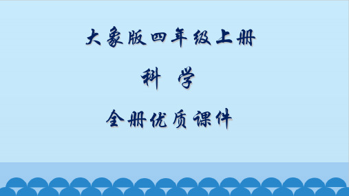 大象版科学四年级上册全册课件【精品】