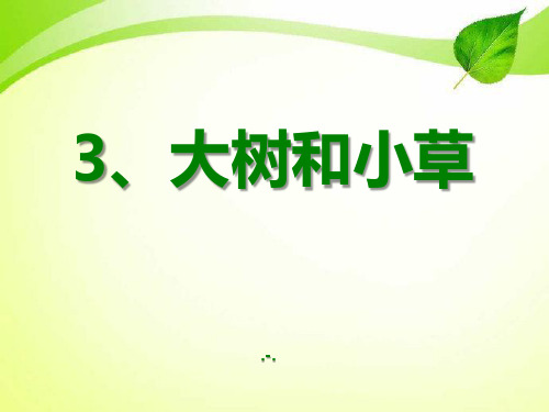 科学三上_大树和小草PPT课件