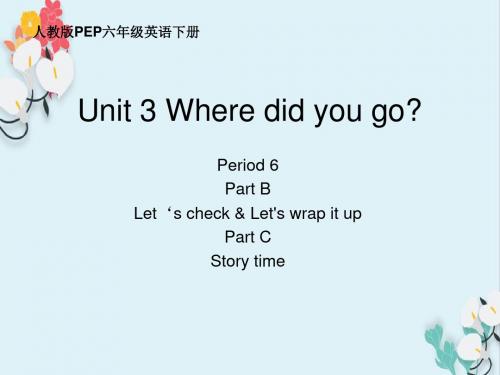 【人教版】六年级英语下册unit3 where did you go 6