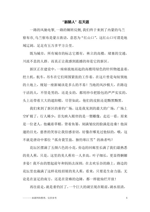 “断肠人”在天涯_初二作文