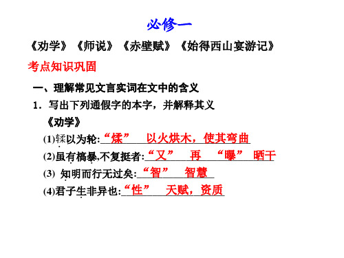 必修1考点知识巩固