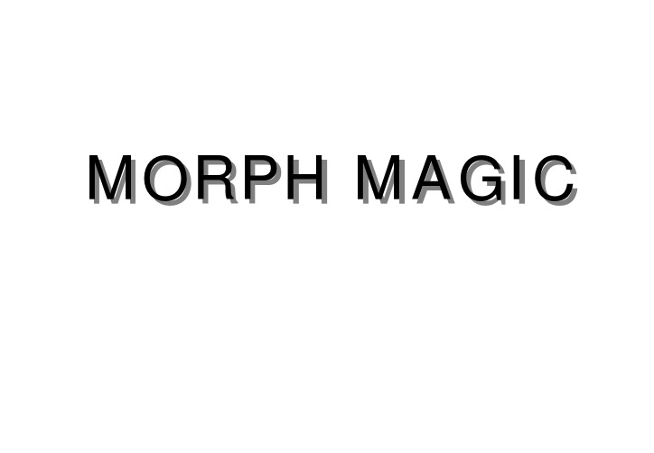 MorphMagic中文使用手册