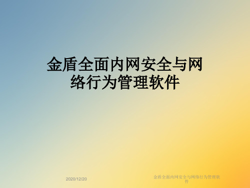 金盾全面内网安全与网络行为管理软件