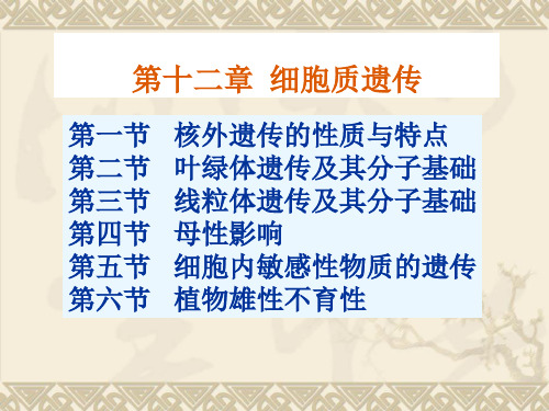 13第十三章细胞质遗传