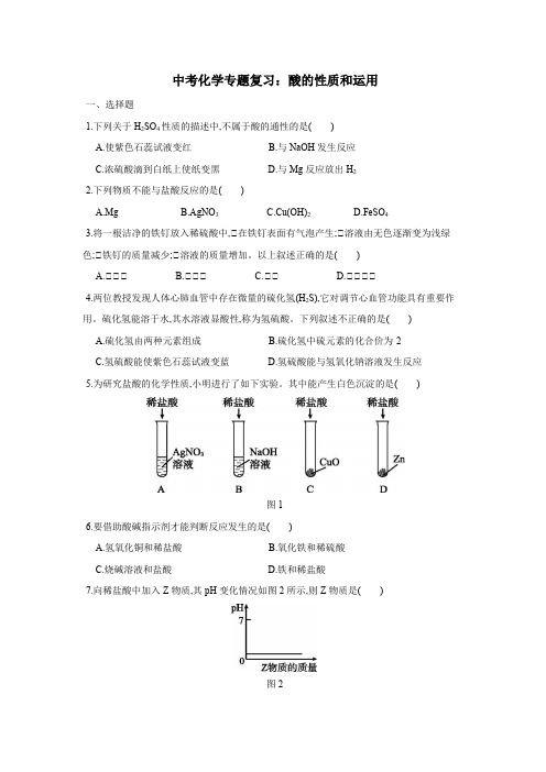 中考化学专题复习：酸的性质和运用