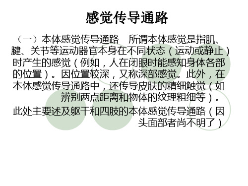 感觉传导通路