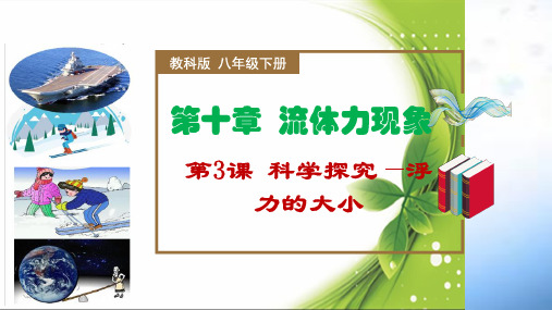 科学探究—浮力的大小(课件)八年级物理下册(教科版)