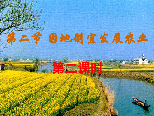 因地制宜发展农业 课(第二课时)PPT课件