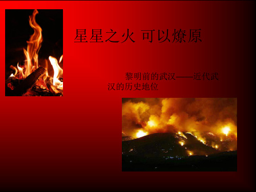 武汉近代史 ppt课件