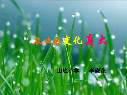 农业的变化真大ppt