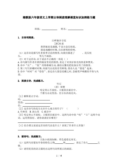 湘教版六年级语文上学期古诗阅读理解课堂知识加深练习题