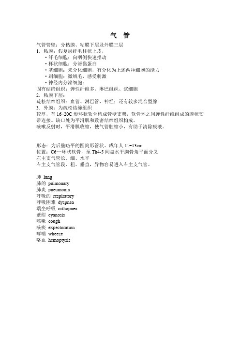 气管管壁解剖