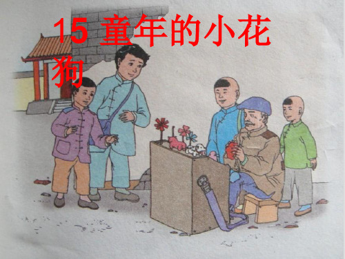 五年级下册语文课件-5.3 童年的小花狗｜鄂教版 (共23张PPT)