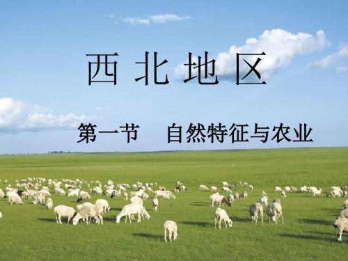 人教地理八下8.1自然特征与农业  教学课件(共25张PPT)
