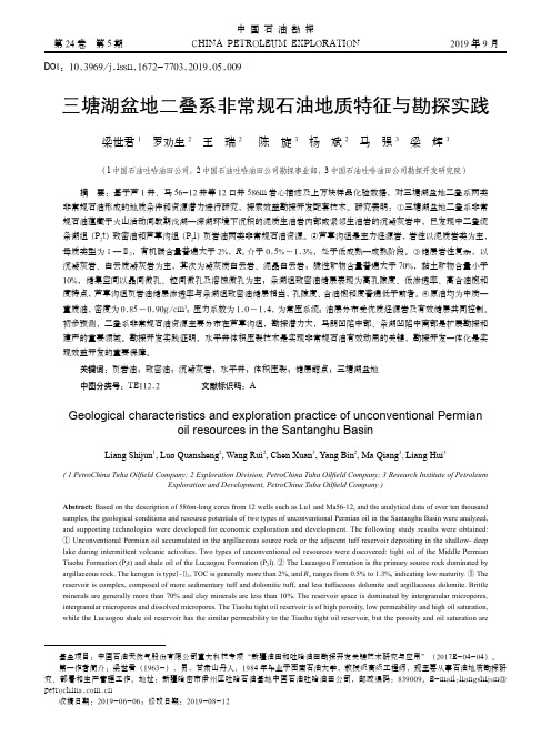 三塘湖盆地二叠系非常规石油地质特征与勘探实践